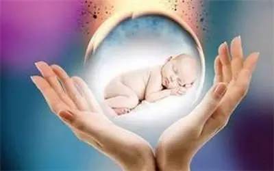 关于专业同性供卵助孕收费标准